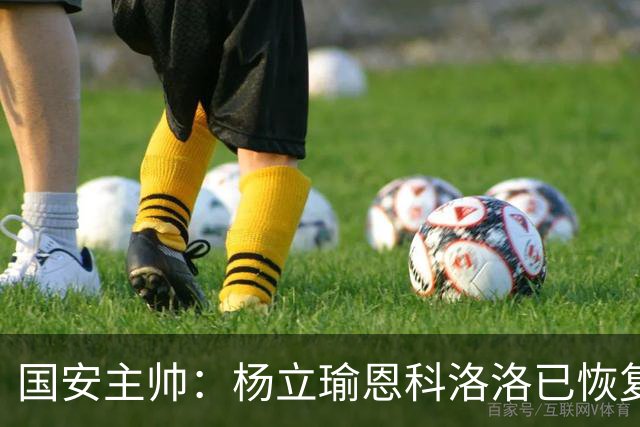 国安主帅：杨立瑜恩科洛洛已恢复 球队有很多要提升的地方